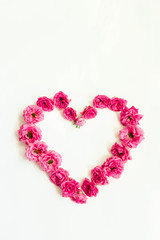 heart of pink roses on white background