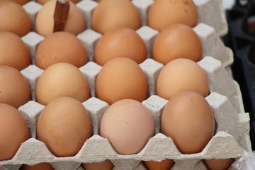 Egg in the panel at street food