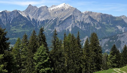 Obraz premium alpes..forêt