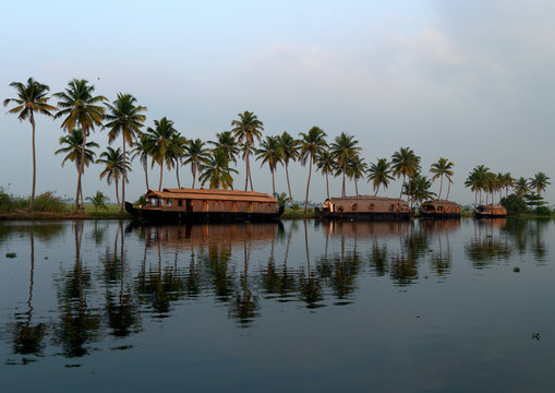 Houseboats Parked On The Banks Alongside Palm Trees.On Kerala Backwaters, Alleppey, India