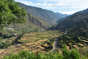 himalaya nature in panwali bugyal