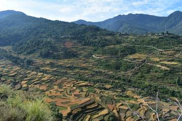 himalaya nature in panwali bugyal