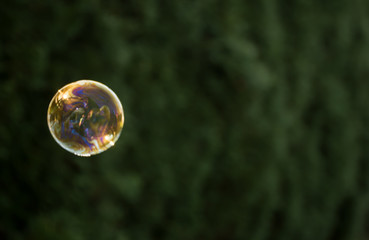 Bubble