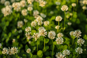  wonderful world around us