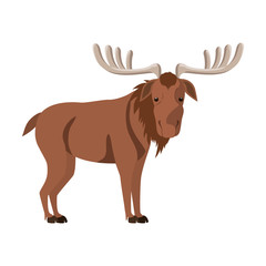 Isolated moose forest animal design