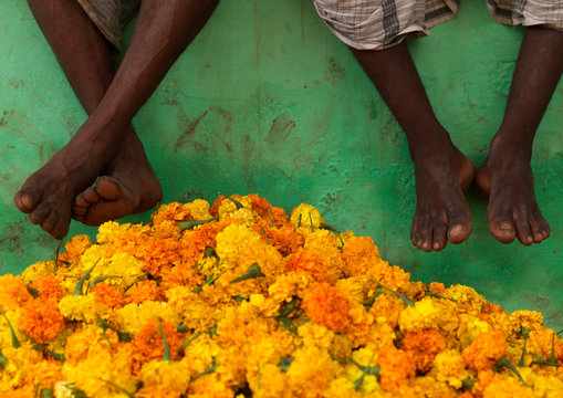 Feet Of Waiters Sitting On A Wall Above Bunches Of Flowers At The Flower Market, Madurai, India