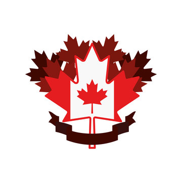 Canada symbol and maple leaf design