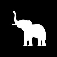 Elephant white on black background