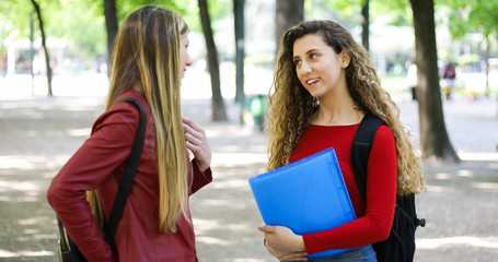 Two female schoolmates talking in a college courtyard