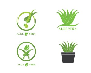 aloevera logo icon vector illustration design