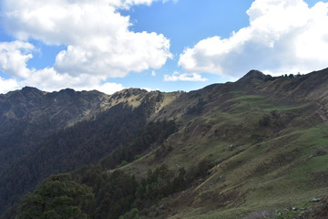 Naklejka premium himalaya nature in panwali bugyal