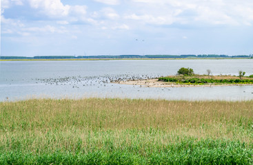 Summer landscape with lake and marshy shore. Islands for birds in a nature reserve in Holland. Nationaal Park Nieuw Land in the Dutch Provincie Flevoland.