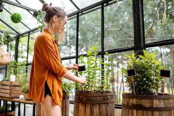 Young woman taking care of plants, growing herbs and flowers in the beautiful greenhouse