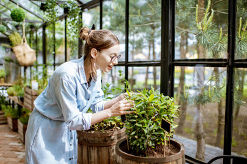 Young woman taking care of plants, growing herbs and flowers in the beautiful greenhouse or flower shop