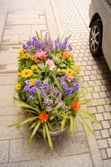 プランターの花