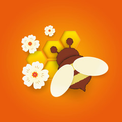Paper cut like a bee with honeycombs. Design template for beekeeping and honey advertising. Orange background. Place for your text. Vector