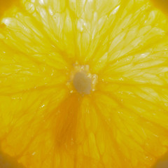 fresh raw sliced orange background