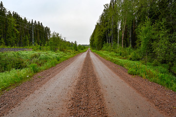 Fototapeta na wymiar Straight gravel road through swedish forest