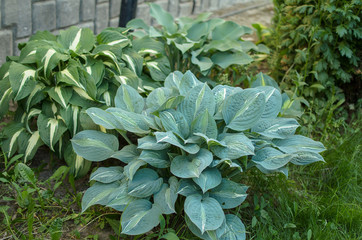 wonderful world around us