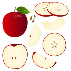 Apple vector illustration set. Whole, sliced and halved Apple graphics.