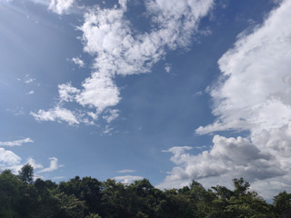 Landscape of forest and blue sky background.