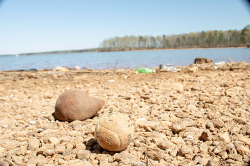 Fototapeta na wymiar Polluted Shoreline on West Point Lake in LaGrange Georgia