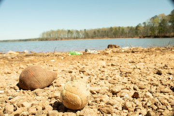 Polluted Shoreline on West Point Lake in LaGrange Georgia