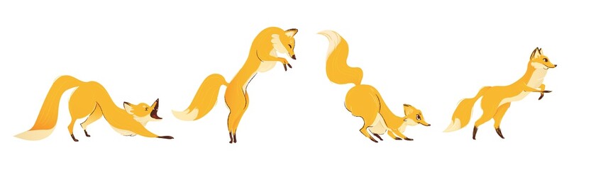 Cartoon funny fox in the motion of jump cartoon vector illustration isolated.