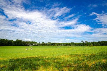 Obraz premium Pivot sprinkler irrigation system