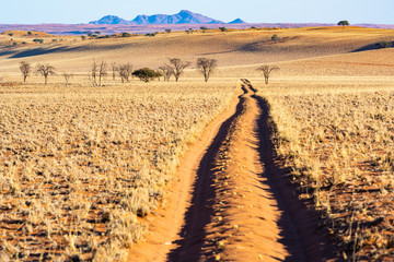 Naklejka premium Safari auf Sandpisten in der malerischen Landschaft am Rande der Namib, NamibRand-Naturreservat, Namibia