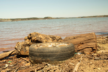 Fototapeta na wymiar Polluted Shoreline on West Point Lake in LaGrange Georgia