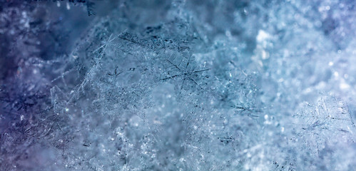 snowflake in the snow, winter
