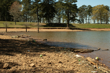 Polluted Shoreline on West Point Lake in LaGrange Georgia