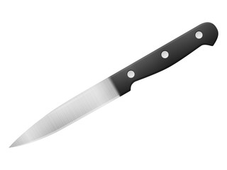 Kitchen knife