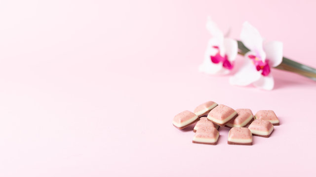 Pink chocolate and orhid on pink background. Ruby new chocolate. New pink sweet dessert