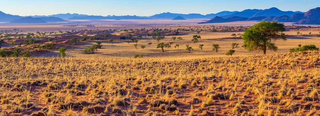 Foto op Aluminium malerische Landschaft am Rande der Namib, Panorama, NamibRand-Naturreservat, Namibia © Manok