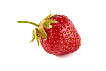Single strawberry closeup on a white background