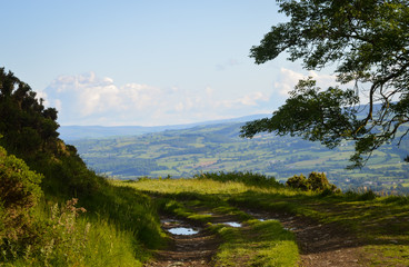 Fototapeta na wymiar Views out over the Welsh Landscape in North Wales on Moel y Parc near Moel Famaua