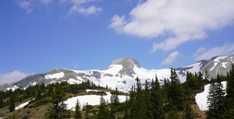 Sonnschienalm - Austria - Jassing