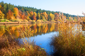 Fototapeta na wymiar wunderschöne Herbstlandschaft am Deininger Weiher