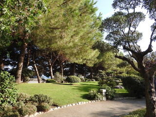 Fototapeta premium Japanese Garden or Jardin Japonais. Municipal public park in Monte Carlo in Monaco
