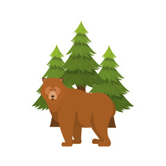 Isolated bear forest animal design