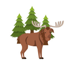 Isolated moose forest animal design