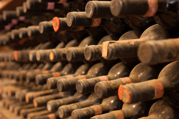 old wine bottles covered with dust and cobwebs are in the wine cellar