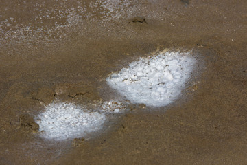 A trail covered with salt crystals, the salt lake of Elton