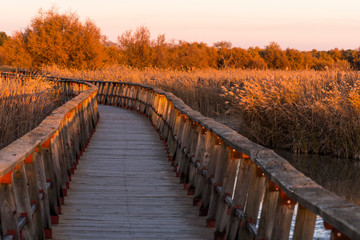 Parque nacional de las Tablas de Daimiel (Ciudad Real) España