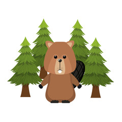 Isolated beaver forest animal design