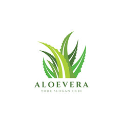 Fototapeta na wymiar Aloe Vera Logo Health Natural