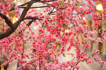 Beautiful blurred floral background of flowers