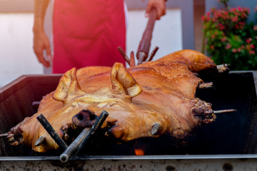 barbecued suckling pig or Roasted suckling pig